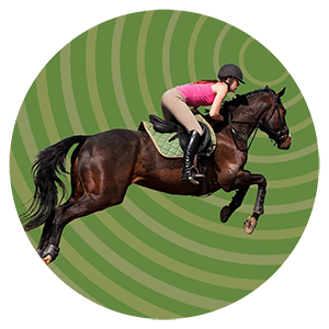 Image of a rider on a jumping horse