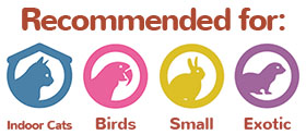 recommended for icons indoor cats, birds, small mammals, exotic pets