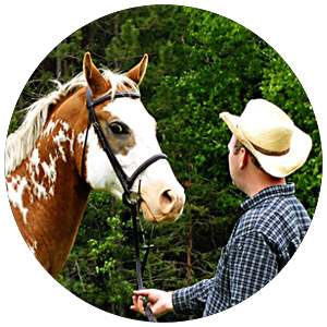 Head of a paint horse and a man holding the leash