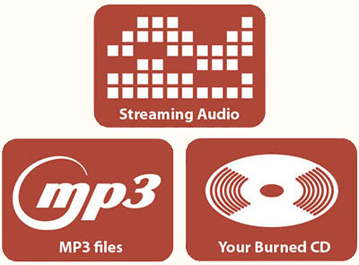 audio media options 400px