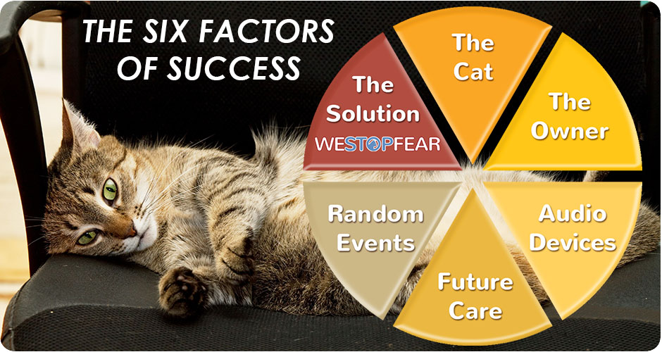 Six factors of success cats image